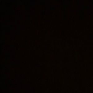 Meet your Posher, Gloria